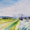 Champ de colza myriam fischer aquarelle weitbruch