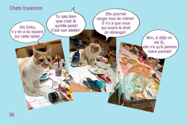 Fimousse et onky livre NaMy